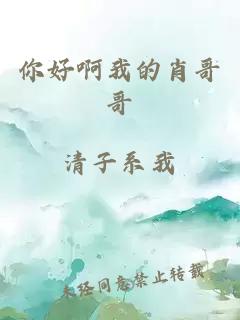 你好啊我的肖哥哥